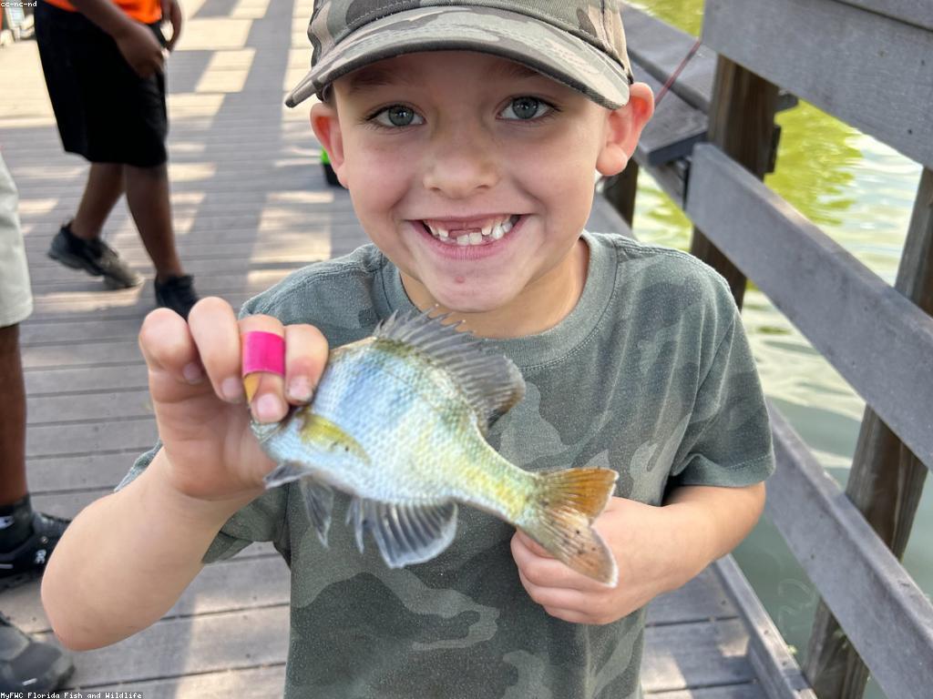 សន្និបាត និងសិក្ខាសាលា: ការបង្កើនចំណេះដឹង និងបង្ការសហគមន៍